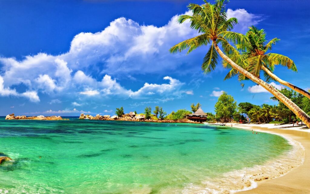 Personalized trips
